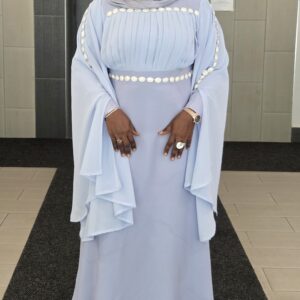 THE SERENE PLEATED DRESS