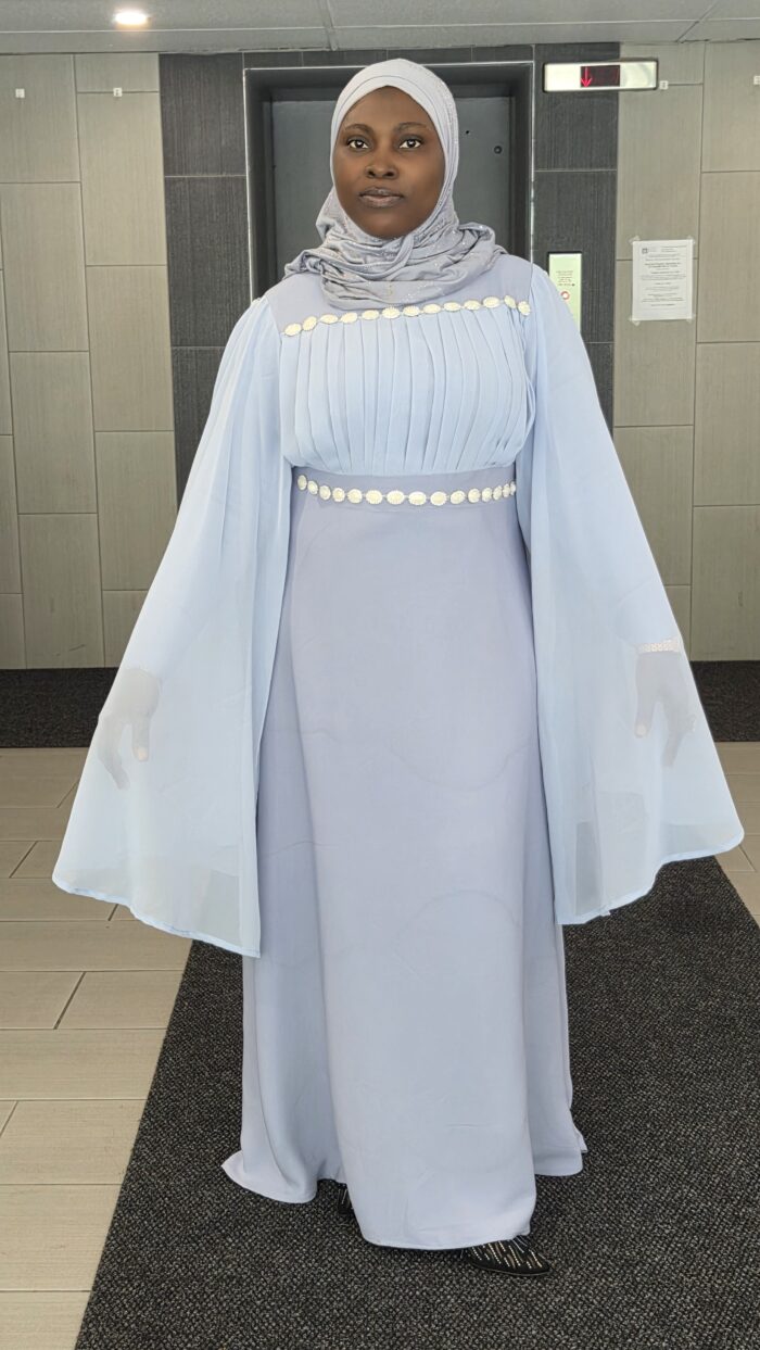THE SERENE PLEATED DRESS - Image 4